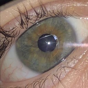 Meet your Posher, Branton